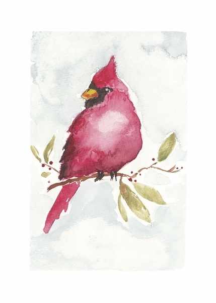 Cardinal in Winter