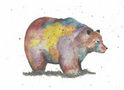 Grizzly in Colour